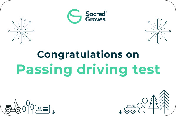 Passed Driving Test04